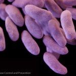 carbapenem-resistant-Enterobacteriaceae-16-x-9-1024×576